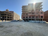 00297f04-91f6-493f-9ca6-acbe2d0216c6_81997_lg.jpg